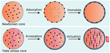 Graphical abstract: Yield stress-enabled microencapsulation of field responsive microparticle suspensions