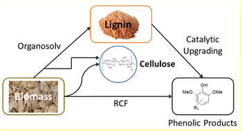 Graphical abstract: The lignin challenge in catalytic conversion of biomass solids to chemicals and fuels
