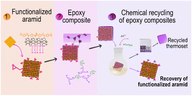 Graphical abstract: Surface modification of aramid fiber meshes – the key to chemically recyclable epoxy composites