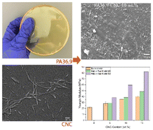 Graphical abstract: Structure and properties of biobased polyamide 36,9/cellulose nanocomposites