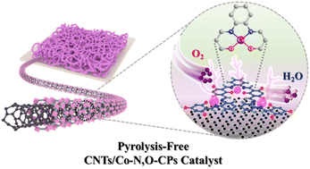Graphical abstract: Crafting core–shell heterostructures of carbon nanotubes and N,O-coordinated cobalt site-impregnated conjugated porous polymers for highly efficient oxygen reduction