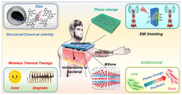 Graphical abstract: Engineering asymmetric multifunctional phase change composites for improved electromagnetic interference shielding and wireless personal thermal therapy