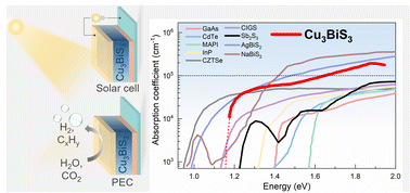 Graphical abstract: Prospects of copper–bismuth chalcogenide absorbers for photovoltaics and photoelectrocatalysis