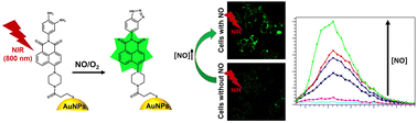 Graphical abstract: Gold nanoparticle-based two-photon fluorescent nanoprobe for monitoring intracellular nitric oxide levels