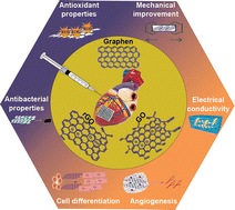 Graphical abstract: Potential of graphene-based nanomaterials for cardiac tissue engineering