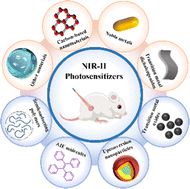 Graphical abstract: Beyond traditional light: NIR-II light-activated photosensitizers for cancer therapy