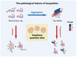 Graphical abstract: Blocking tau transmission by biomimetic graphene nanoparticles