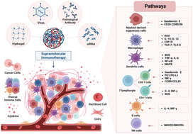 Graphical abstract: Supramolecular immunotherapy on diversiform immune cells