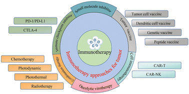 Graphical abstract: Immunotherapy: cancer immunotherapy and its combination with nanomaterials and other therapies