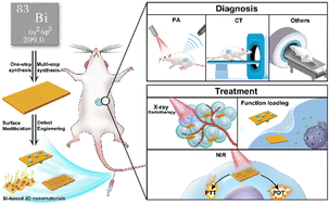 Graphical abstract: Bismuth-based two-dimensional nanomaterials for cancer diagnosis and treatment