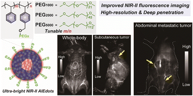 Graphical abstract: Polymeric engineering of AIEgens for NIR-II fluorescence imaging and detection of abdominal metastases of ovarian cancer in vivo