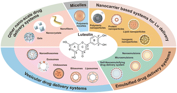 Graphical abstract: Nano-scale drug delivery systems for luteolin: advancements and applications