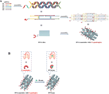 Graphical abstract: Construction of a highly efficient DNA nanotube sensor with peroxide-like activity