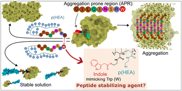 Graphical abstract: Synthetic macromolecular peptide-mimetics with amino acid substructure residues as protein stabilising excipients