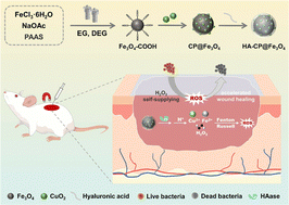 Graphical abstract: Enzyme-triggered on-demand release of a H2O2-self-supplying CuO2@Fe3O4 nanoagent for enhanced chemodyamic antimicrobial therapy and wound healing