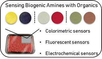 Graphical abstract: Biogenic amine sensors using organic π-conjugated materials as active sensing components and their commercialization potential