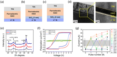 Graphical abstract: Effect of interfacial SiO2 layer thickness on the memory performances in the HfAlOx-based ferroelectric tunnel junction for a neuromorphic system