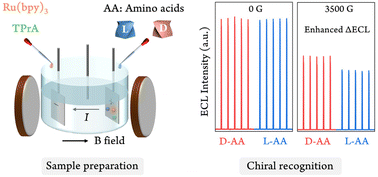 Graphical abstract: Magneto-electrochemical method for chiral recognition of amino acid enantiomers
