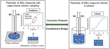 Graphical abstract: Corrective protocol to predict interference free sensor response for paper-based solution sampling coupled with heavy metal sensitive ion-selective electrodes