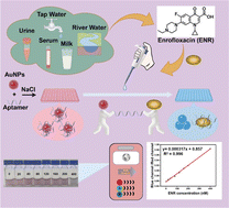 Graphical abstract: A colorimetric-aptamer-based assay for the determination of enrofloxacin through triggering the aggregation of gold nanoparticles