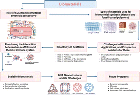 Graphical abstract: Navigating the challenges and exploring the perspectives associated with emerging novel biomaterials
