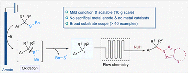 Graphical abstract: Electrochemical desulfurative formation of C–N bonds through selective activation of inert C(sp3)–S bonds