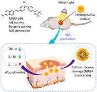 Graphical abstract: Aggregation-induced emission photosensitizer for antibacterial therapy of methicillin-resistant Staphylococcus aureus