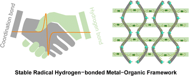 Graphical abstract: Construction of a stable radical hydrogen-bonded metal–organic framework with functionalized tetrathiafulvalene linkers