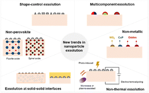 Graphical abstract: New trends in nanoparticle exsolution