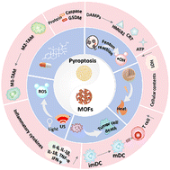 Graphical abstract: Metal–organic framework (MOF)-based materials for pyroptosis-mediated cancer therapy