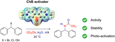 Graphical abstract: Unraveling the activity and stability of cationic tellurium activators in Ritter-type reactions