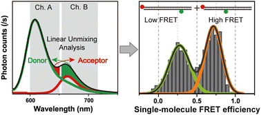 Graphical abstract: Linear spectral unmixing analysis in single-molecule FRET spectroscopy for fluorophores with large spectral overlap