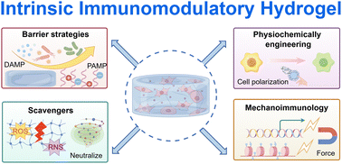 Graphical abstract: Intrinsic immunomodulatory hydrogels for chronic inflammation