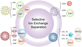 Graphical abstract: Ion exchange enabled selective separation from decontamination to desalination to decarbonization: recent advances and opportunities