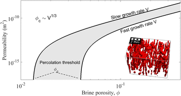 Graphical abstract: Growth rate dependence of the permeability and percolation threshold of young sea ice