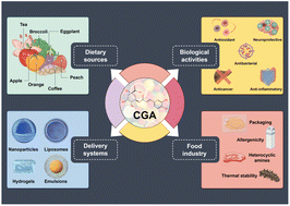 Graphical abstract: Unleashing the power of chlorogenic acid: exploring its potential in nutrition delivery and the food industry