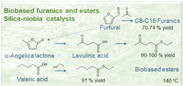 Graphical abstract: Chemical valorisation of biomass derived furanics and carboxylic acids over niobium-based catalysts