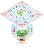 Graphical abstract: Recent catalytic innovations in furfural transformation