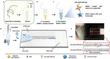 Graphical abstract: Microfluidic particle counter visualizing mucosal antibodies against SARS-CoV-2 in the upper respiratory tract for rapid evaluation of immune protection