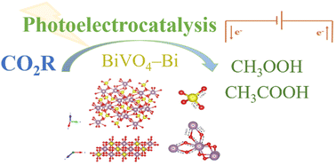 Graphical abstract: Unveiling BiVO4 photoelectrocatalytic potential for CO2 reduction at ambient temperature