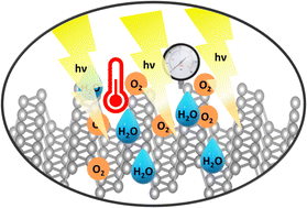 Graphical abstract: Memory effect and coexistence of negative and positive photoconductivity in black phosphorus field effect transistor for neuromorphic vision sensors