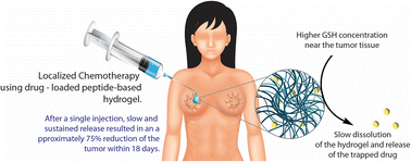 Graphical abstract: Targeted and precise drug delivery using a glutathione-responsive ultra-short peptide-based injectable hydrogel as a breast cancer cure