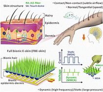 Graphical abstract: Top-down architecture of magnetized micro-cilia and conductive micro-domes as fully bionic electronic skin for de-coupled multidimensional tactile perception