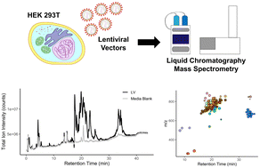 Graphical abstract: Comprehensive untargeted lipidomic profiling of third generation lentiviral vectors and packaging cells