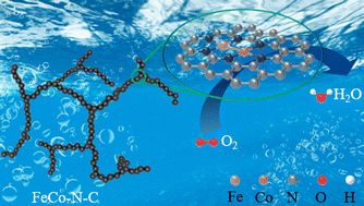 Graphical abstract: Fe–Co heteronuclear atom pairs as catalytic sites for efficient oxygen electroreduction