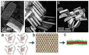 Graphical abstract: Microwave-assisted synthesis of polyoxometalate-Dy2O3 monolayer nanosheets and nanotubes