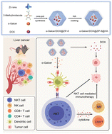 Graphical abstract: A natural killer T cell nanoagonist-initiated immune cascade for hepatocellular carcinoma synergistic immunotherapy
