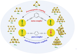 Graphical abstract: Orchestration of ferro- and anti-ferromagnetic ordering in gold nanoclusters