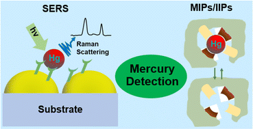 Graphical abstract: Advancements in mercury detection using surface-enhanced Raman spectroscopy (SERS) and ion-imprinted polymers (IIPs): a review