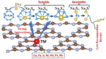 Graphical abstract: Theoretical insights into single-atom catalysts for improved charging and discharging kinetics of Na–S and Na–Se batteries